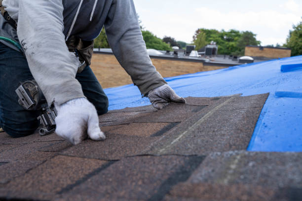 Best Rubber Roofing (EPDM, TPO)  in Friendswood, TX